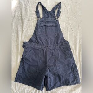 Patagonia Stand Up Overalls